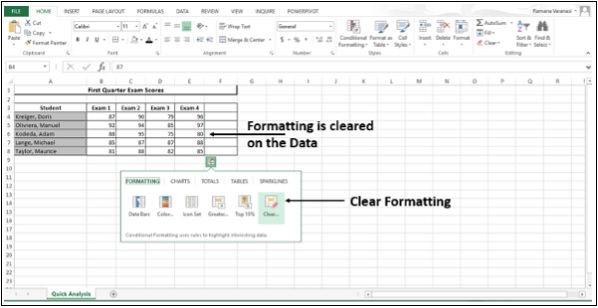 أيقونة مسح التنسيق في اكسل2013