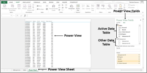 حقول الباورفيو في اكسل 2013