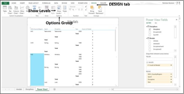 أيقونة اظهار المستويات في مجموعة الخيارات في اكسل2013