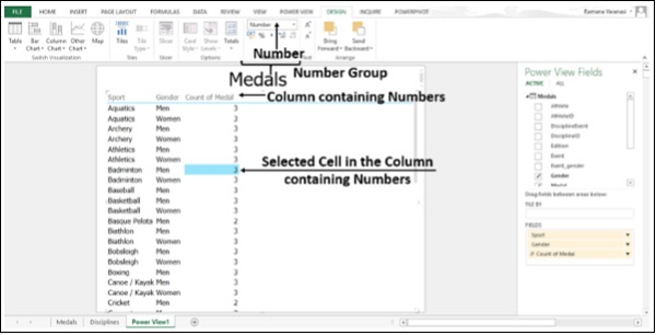 تنسيق ارقام تصور الجدول في اكسل2013 
