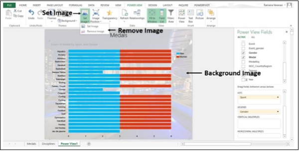 خيار ازالة الصورة من أيقونة ضبط الصورة في اكسل2013