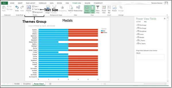 زر حجم الخط في مجموعة السيمات في اكسل2013