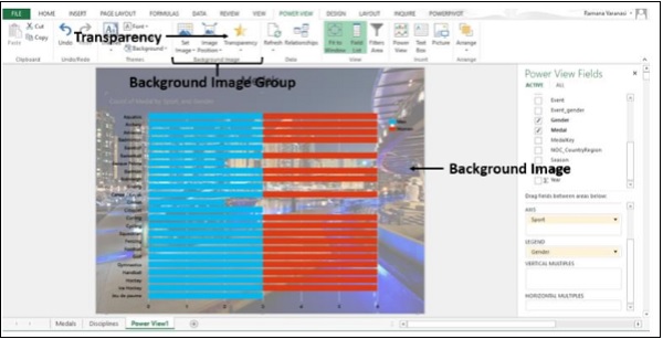 أيقونة الشفافية في مجموعة صور الخلفية في اكسل2013