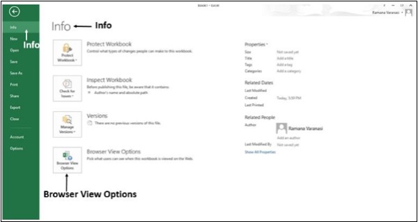 خيارات المستعرض في اكسل2013