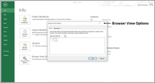 نافذة خيارات عرض المتصفح في اكسل2013