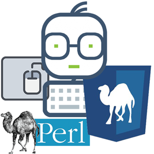 برمجة بيرل-Perl programming