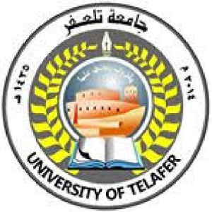 جامعة تلعفر