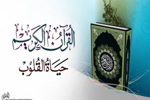 .صورة ابو محمد المصرى محفظ قرآن كريم مدرس خصوصي